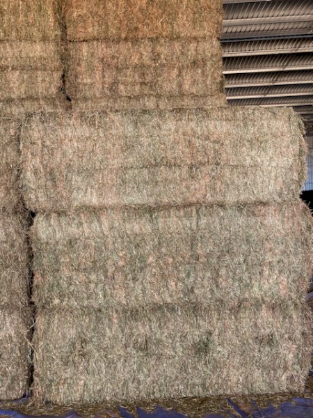 390mt Vetch Hay 650kg 8x4x3 Bales