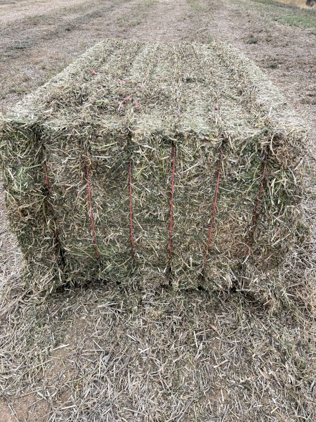 80mt Vetch Hay 8x4x3 Bales