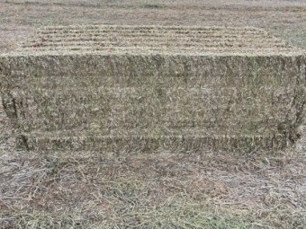 80mt Vetch Hay 8x4x3 Bales