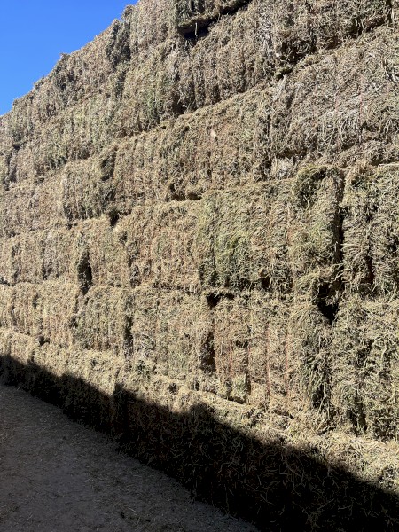 80mt Vetch Hay 8x4x3 Bales