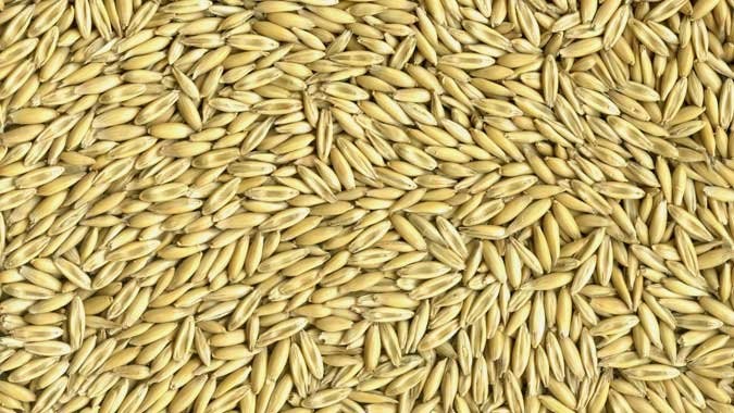 WANTED Yarran and Matika FEED OATS 