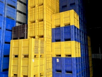 Pallet Box/ Plastic Crates