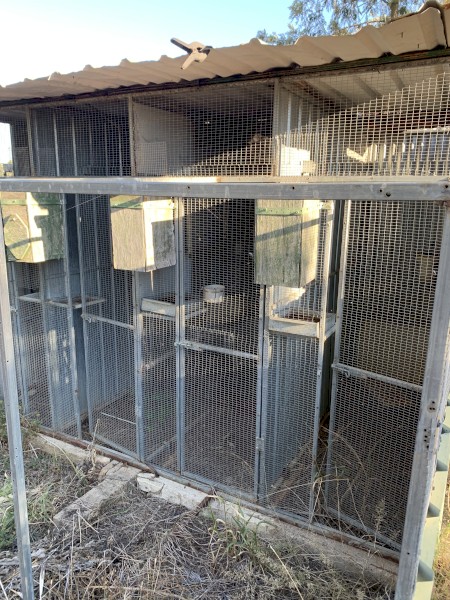 Bird cages