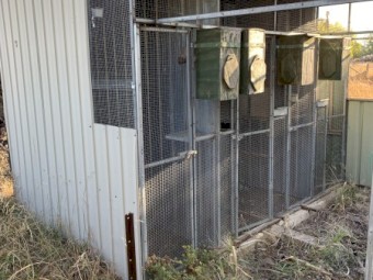 Bird cages