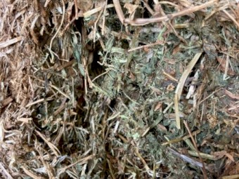 2023  Vetch Hay