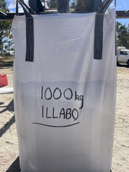 6mt Illabo Wheat