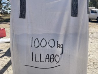 6mt Illabo Wheat