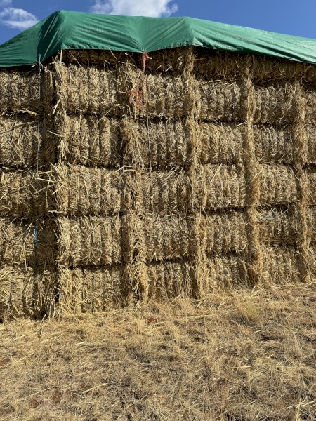 Nudan 8x4x3 hay