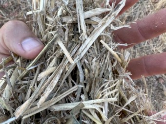 Nudan 8x4x3 hay