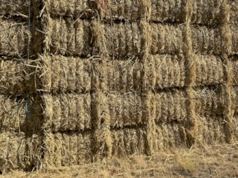 Nudan 8x4x3 hay