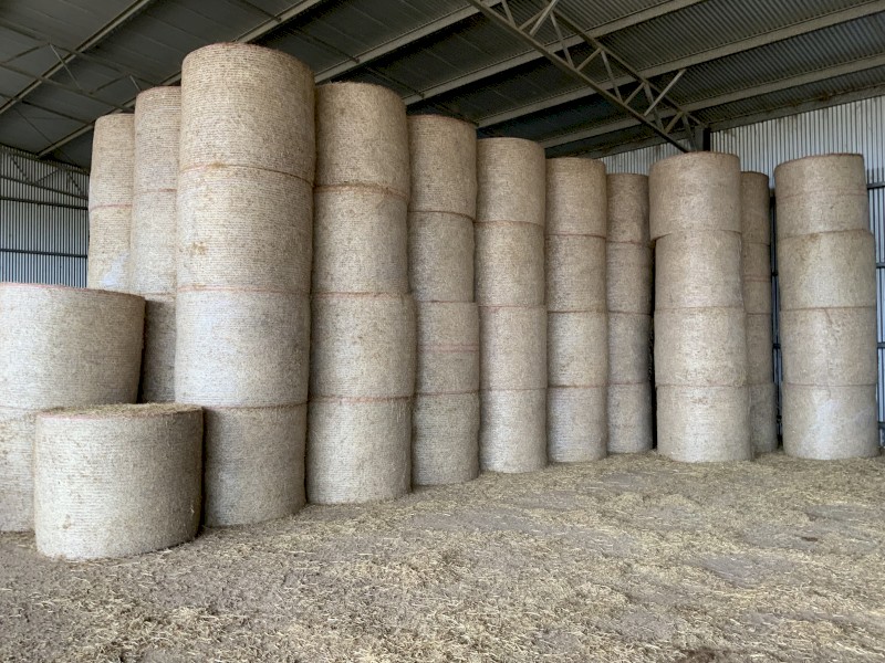 Lucerne hay