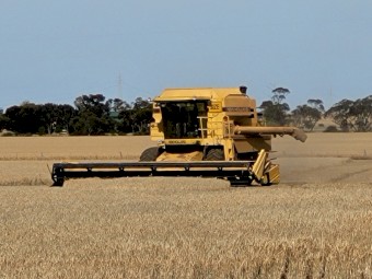 New Holland TR98 Header With 30' Front