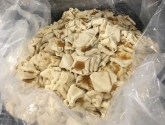 Dough for Stockfeed