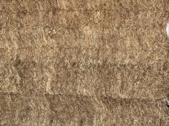 2023 Vetch Hay