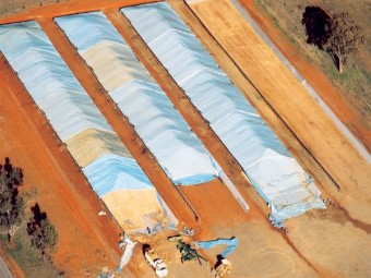 TARPS: GRAIN BUNKER / ALMOND BUNKER TARPS 19M X 30M  BRAND NEW