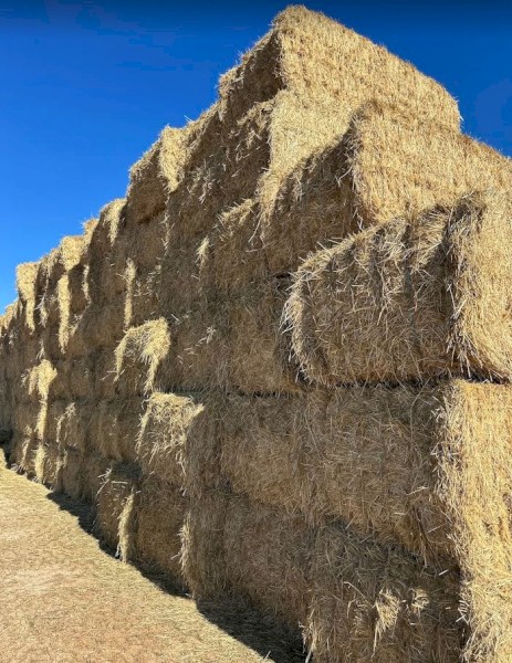 TEFF STRAW