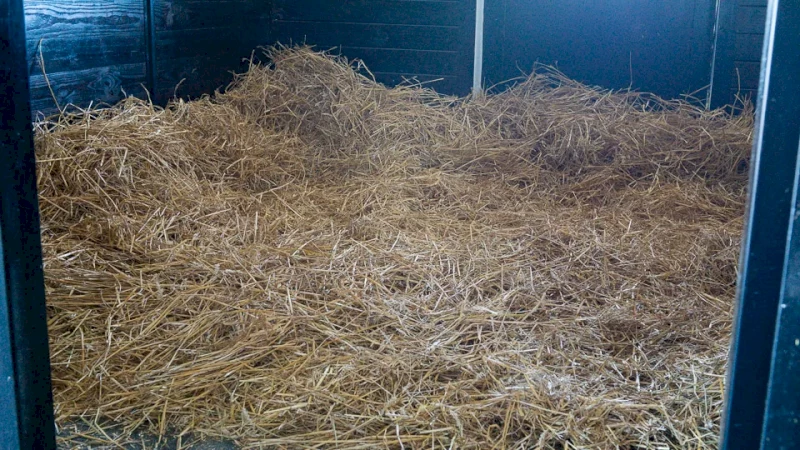 WANTED High Quality Wheaton Straw 5000+ Small Square Bales