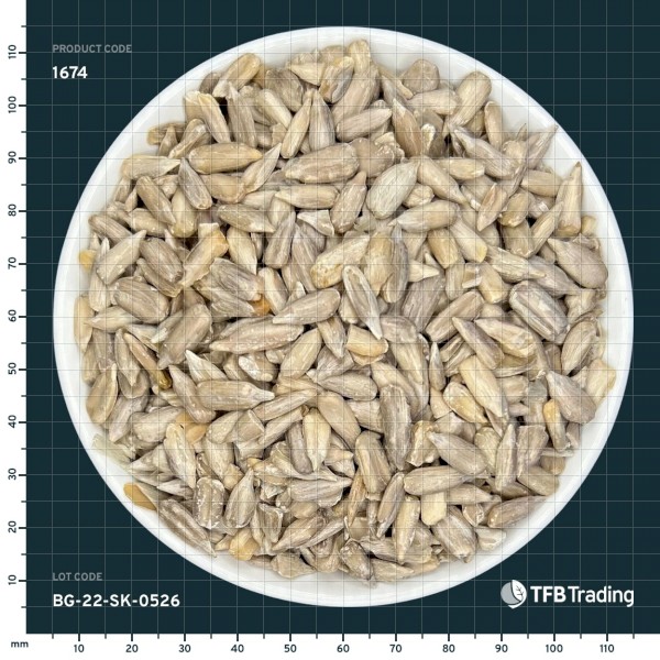 Chinese Sunflower Seed Confectionary Grade - Past Before Before and some signs of warehouse infestation