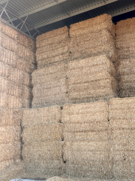 1000mt Oaten Hay 8x4x3 Bales