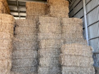 1000mt Oaten Hay 8x4x3 Bales