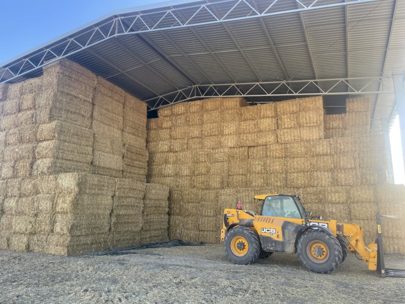 Oaten Straw, Wheat Straw, Barley straw, shedded