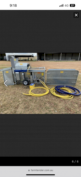 WANTED Electro Dip