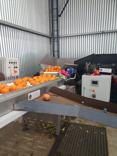 2015 KW fruit grading machine 