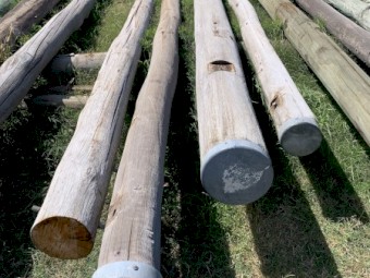 Hardwood poles post telegraph poles 