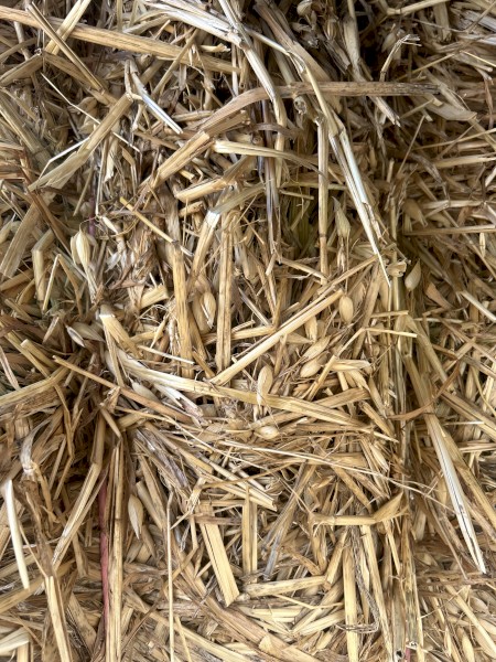2022 Oaten hay