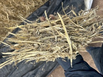 2022 Oaten hay