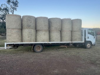 4*4 Pasture Hay- Angleton (Bluegrass) Grass-Legume-Rhodes