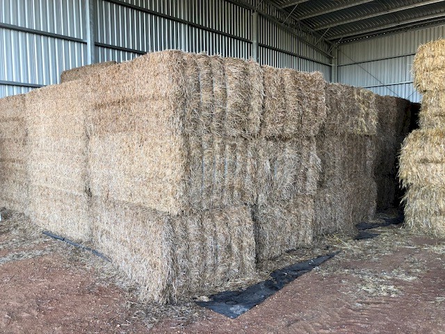 150mt Vetch Hay 8x4x3 Bales 20 Season shedded