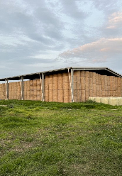 Lucerne Hay