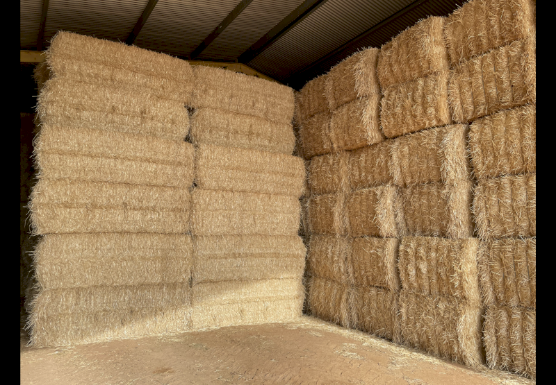 55mt Barley straw header tailings shedded Narromine NSW