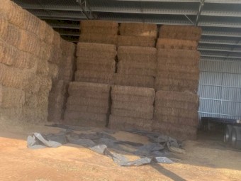 Vetch Hay 21 season 80 mt shedded 8x4x3 approx 620 kgs