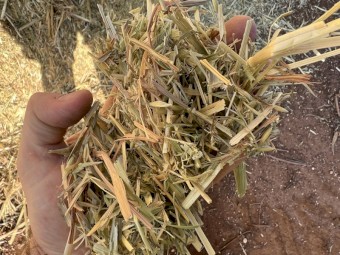2020 Oaten Hay 8x4x3