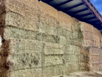 500mt Vetch Hay 8x4x3 Bales
