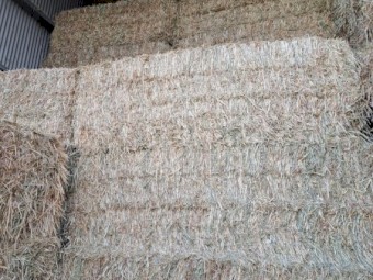 200mt Wheaten or Lucerne Hay 8x4x3 Bales