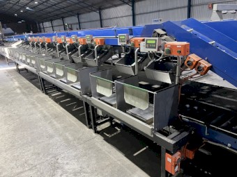 Tomato Grader