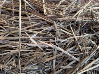 125mt Oaten Hay 500kg 8x4x3 Bales