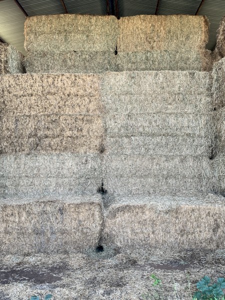 120mt Vetch Hay 530kg 8x4x3 Bales