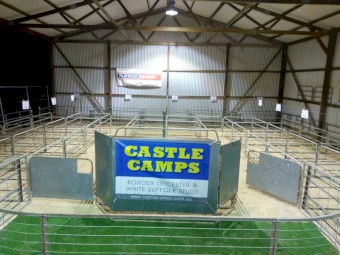 Ram sale pens