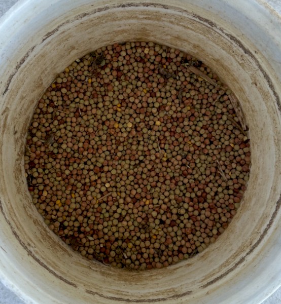 260mt Kaspa Field Peas