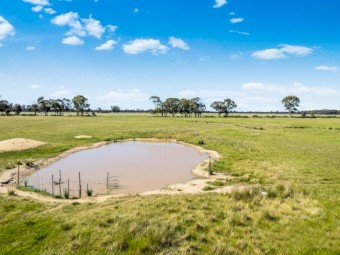 ## For Sale ##  200 acres