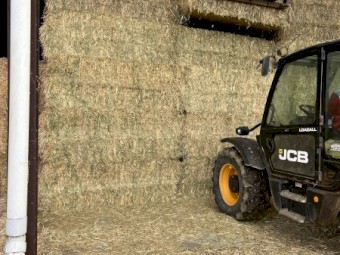 Barley Hay Top Quality