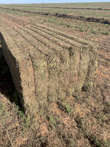 200mt Vetch Hay 8x4x3 Bales