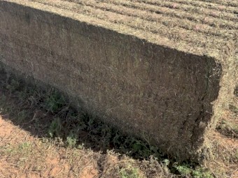 200mt Vetch Hay 8x4x3 Bales