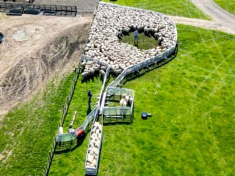 Porta-Yards, brand new, '3.0m standard yard' stocked in Melbourne