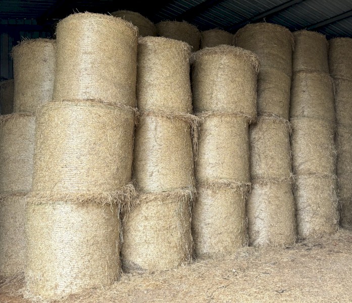 100 x Kykura & Clover Hay Round Bales