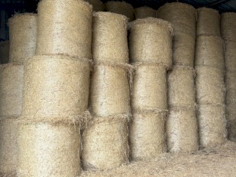 100 x Kykura & Clover Hay Round Bales